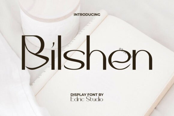 Bilshen Font for Web Designers: A Modern Display Typeface with Character